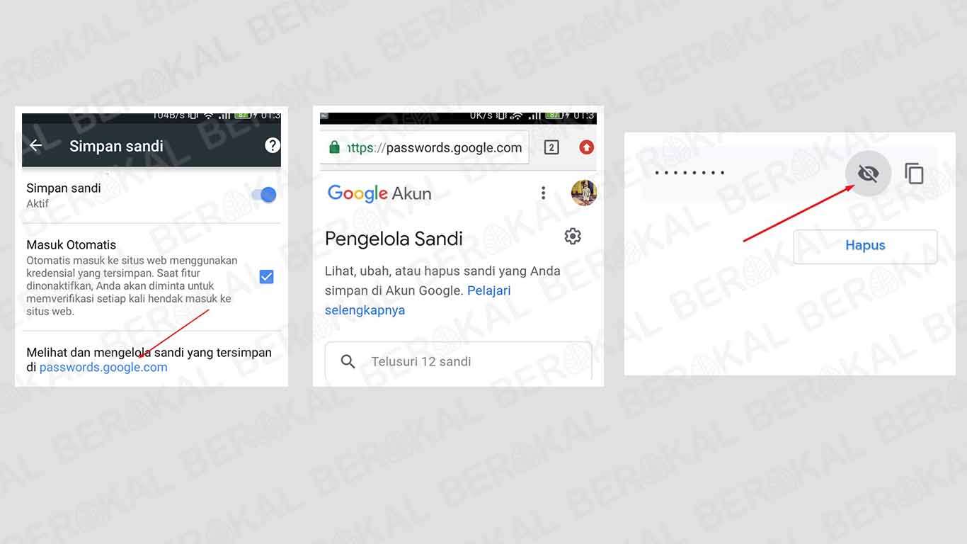 perlihatkan kata sandi gmail