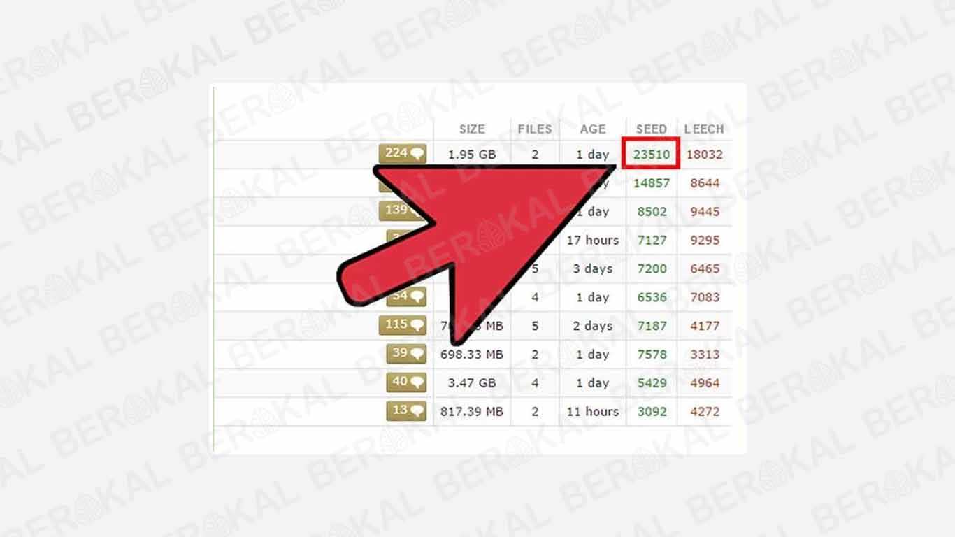 Perhatikan Seeder dan Leecher