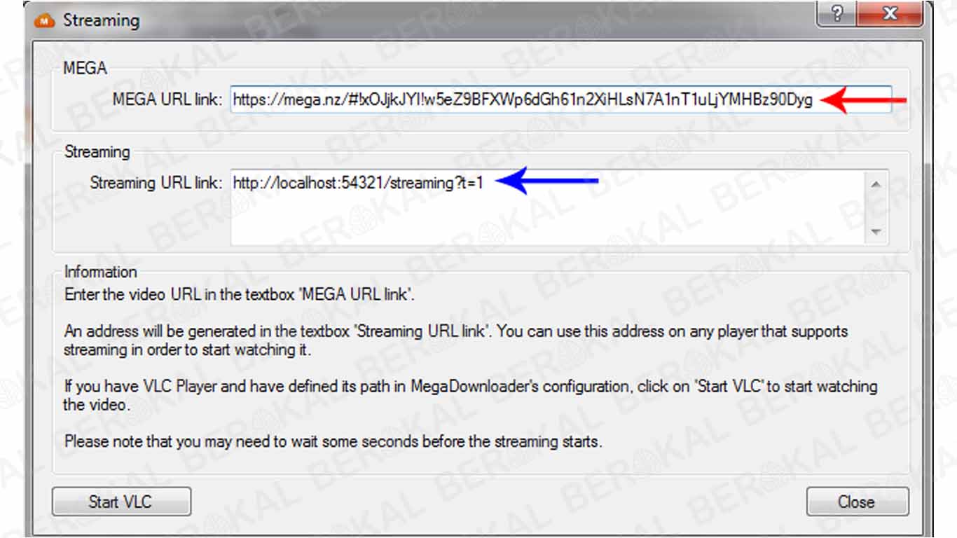 Cara atur download file di Mega Downloader