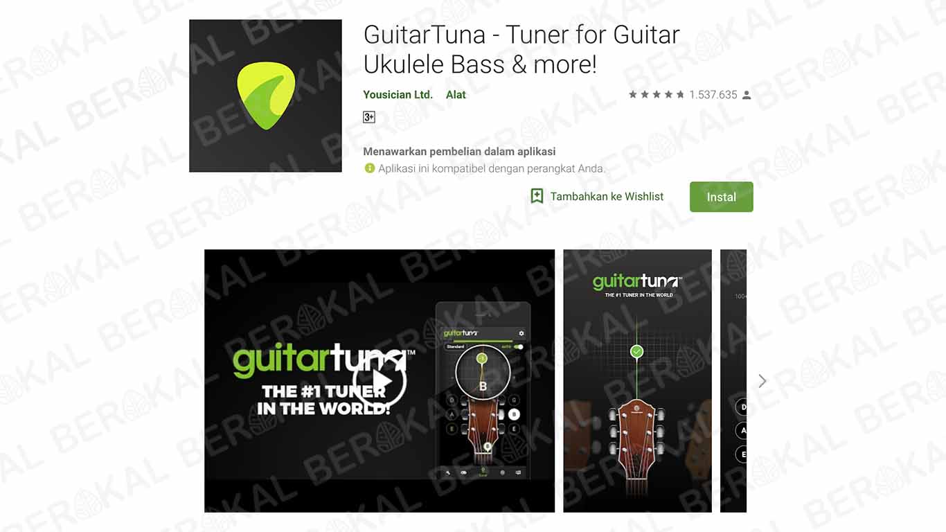 Guitar Tuna