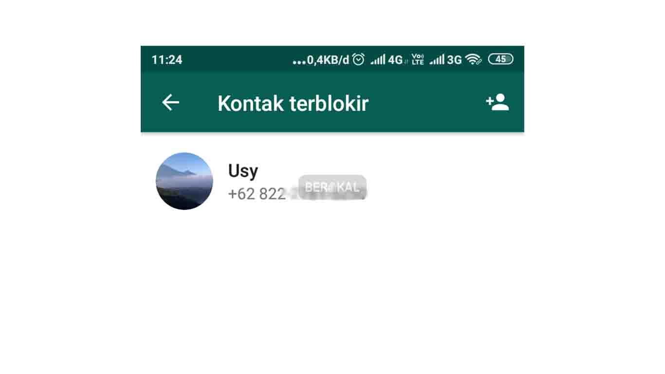 2 Cara Blokir Grup Whatsapp Dan Blokir Undangan Grup