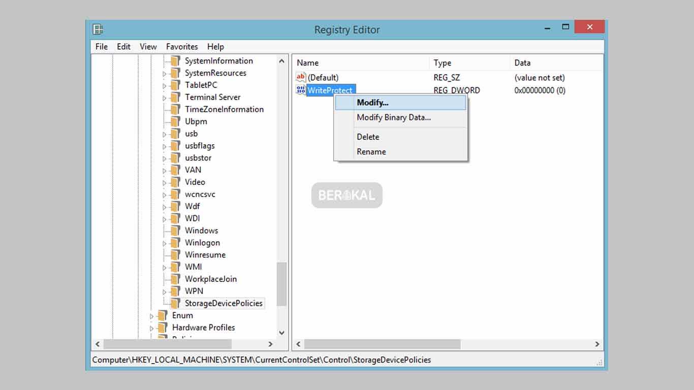 writeprotect regedit