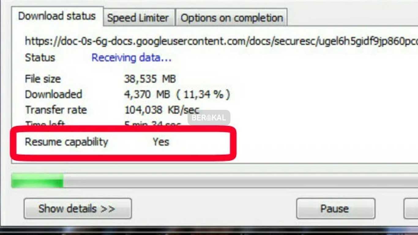 cara melanjutkan download di idm yang error