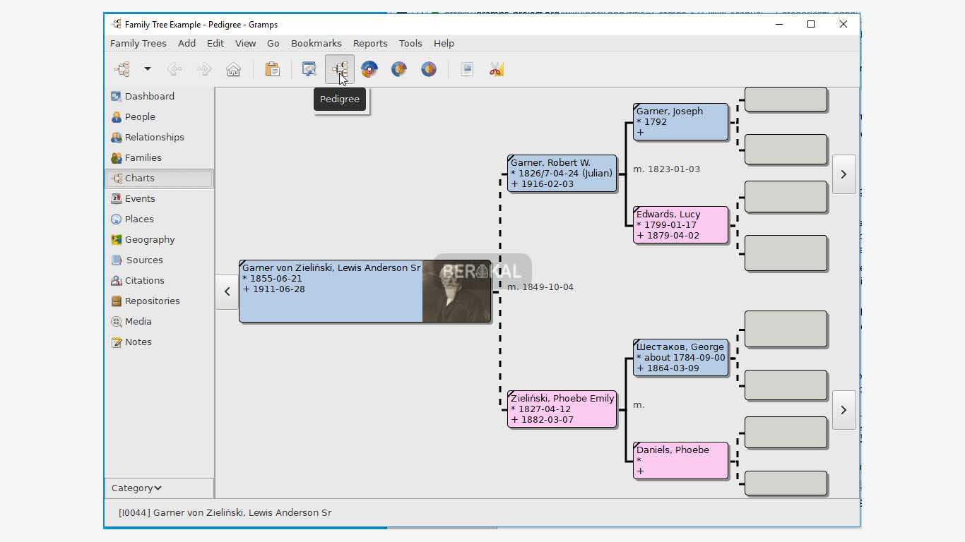 Free Family Tree Software Offline