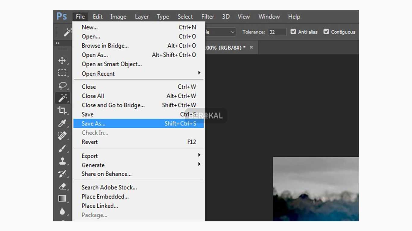 Cara Memperbesar Resolusi Foto Tanpa Pecah melalui ...