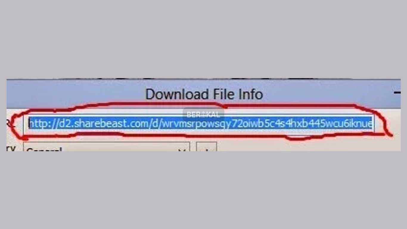 cara mengatasi download error di idm