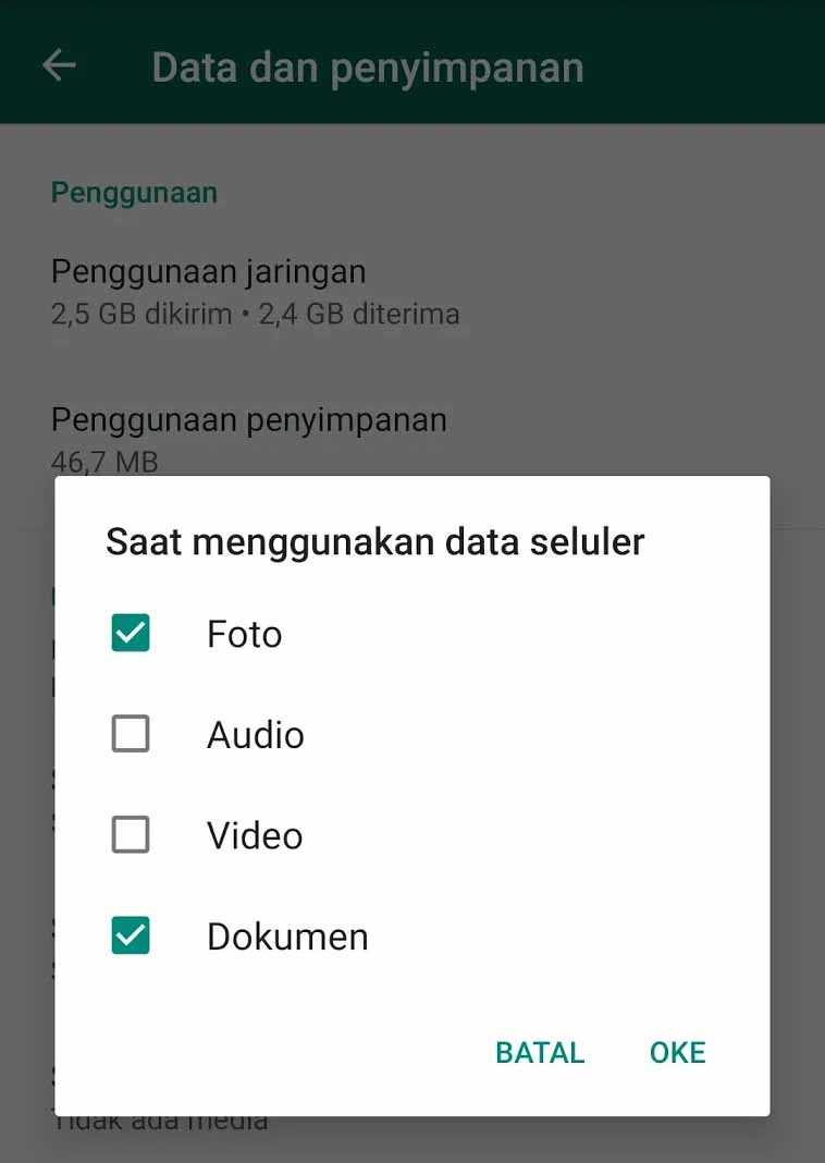 Cara Menyimpan Foto dari WhatsApp ke Galeri Secara Otomatis