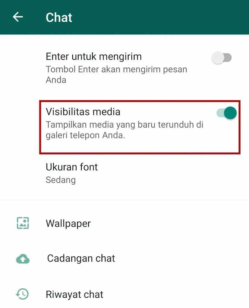 visibilitas media whatsapp
