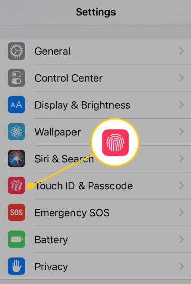 touch id iphone