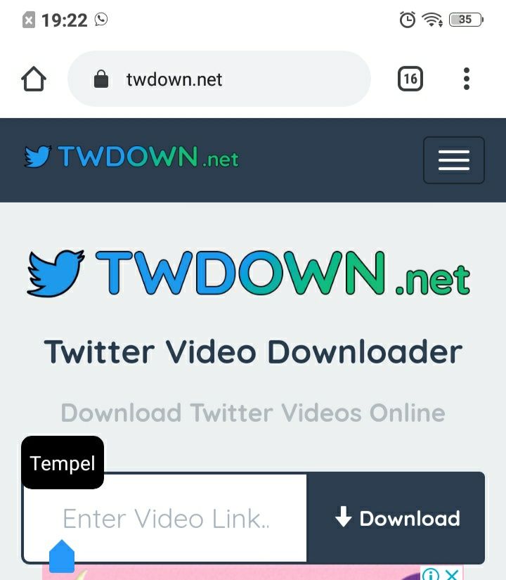 twdown.net