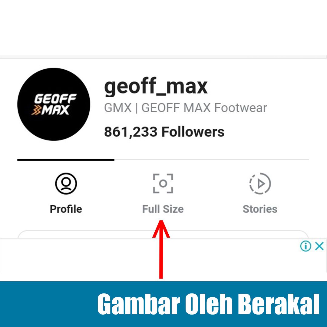 download foto profil instagram