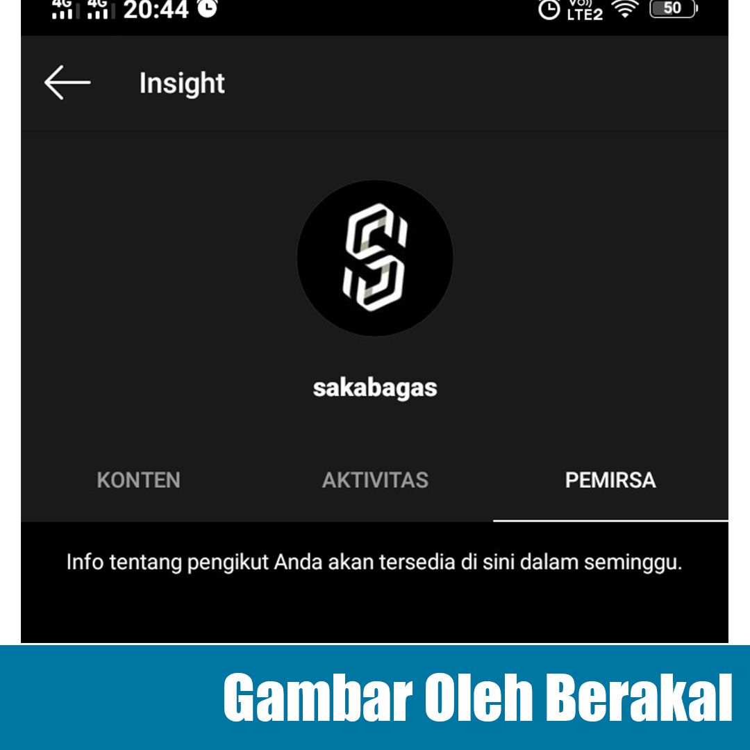 insight akun bisnis