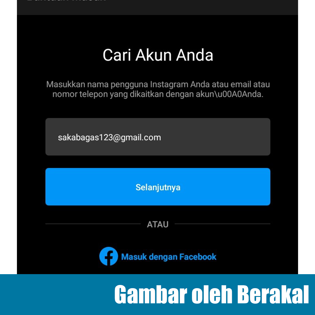 lupa password instagram