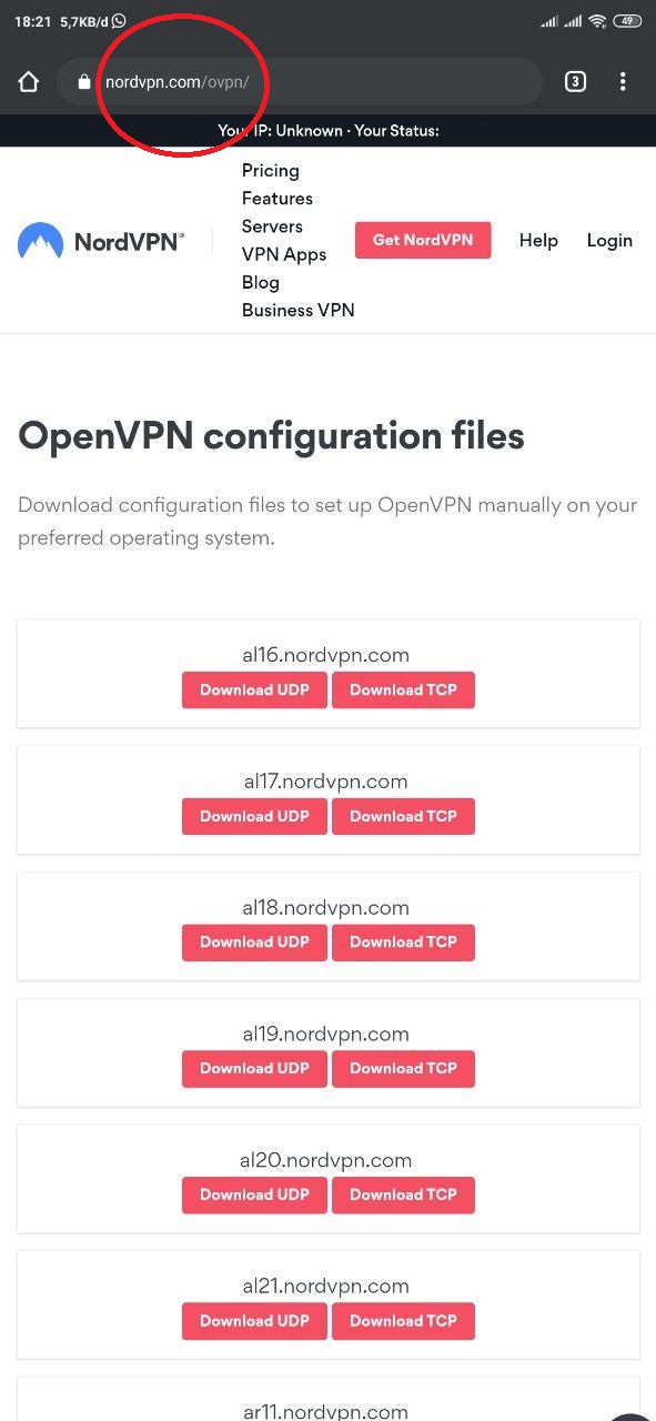 Download OpenVPN