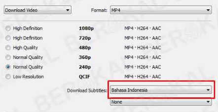 download subtitle bahasa indonesia