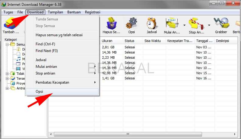 internet download manager