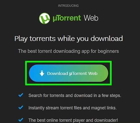 BitTorrent Client