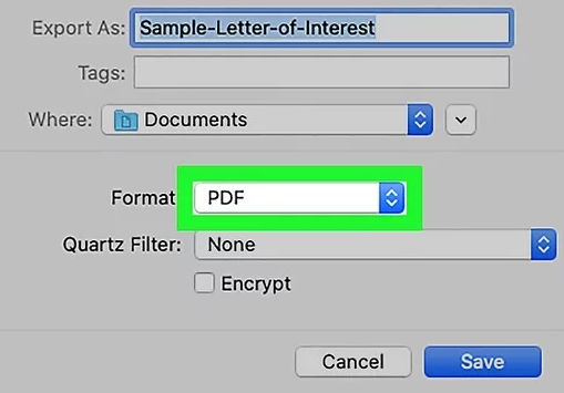 pdf format file