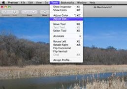adjust size adjust size