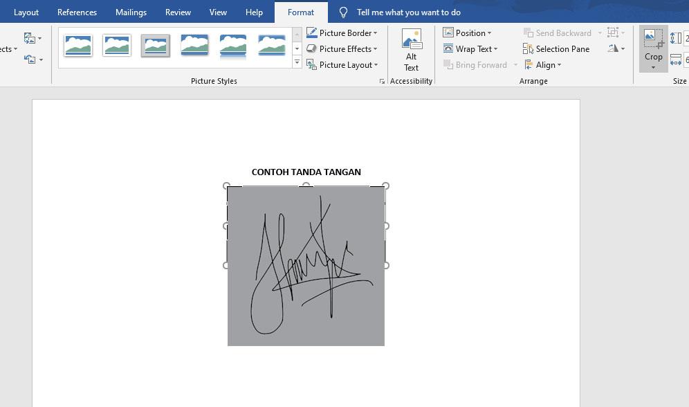 √ Cara Membuat Tanda Tangan di Word dengan Mudah