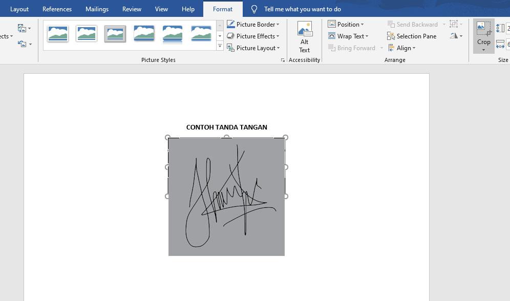 cara-membuat-tanda-tangan-di-word-2007