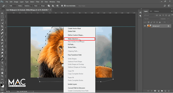 Make Selection Photoshop