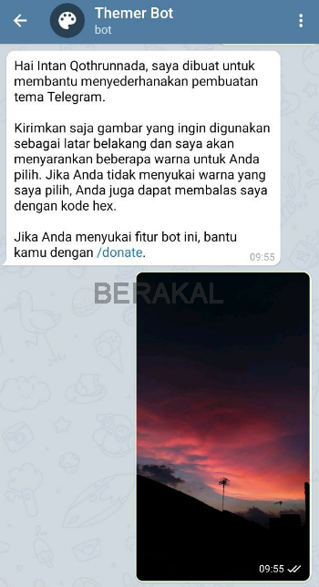 cara mengganti tema telegram dengan bot