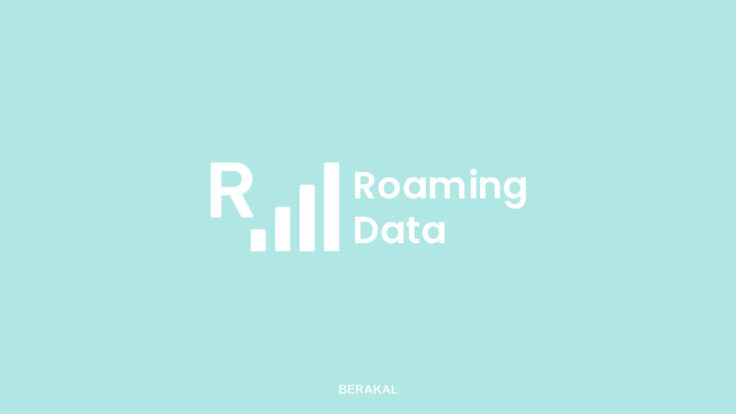 Roaming Data Adalah