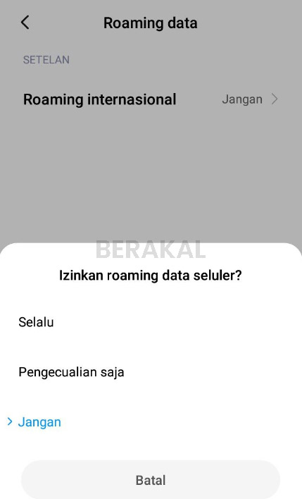 cara mengaktifkan roaming