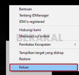 Download Otomatis IDM Tidak Muncul