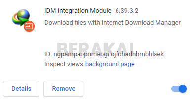 IDM Tidak Otomatis Download di Chrome