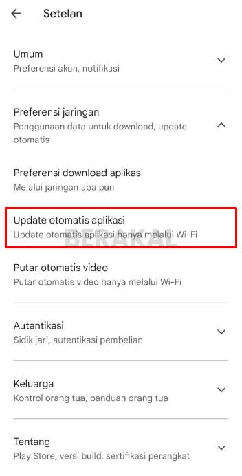 Update Otomatis Aplikasi Play Store