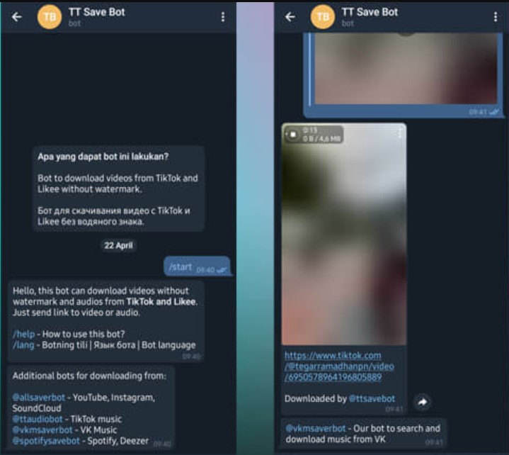 Pada-chat-bot-dengan-tampilan-TikTok-Downloader-tempelkan-tautan-video-TikTok-yang-sebelumnya-telah-disalin-tadi-ke-kolom-chat-lalu-klik-Oke..jpg (719×642)