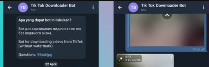 Pengertian Bot Download Video TikTok